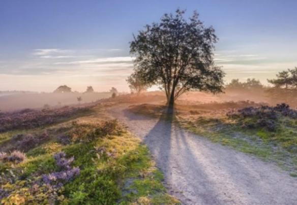 فيلا بوتِنْفي Een Gezellige Chalet Met Zonnige Buitenruimte Op De Veluwe! المظهر الخارجي الصورة